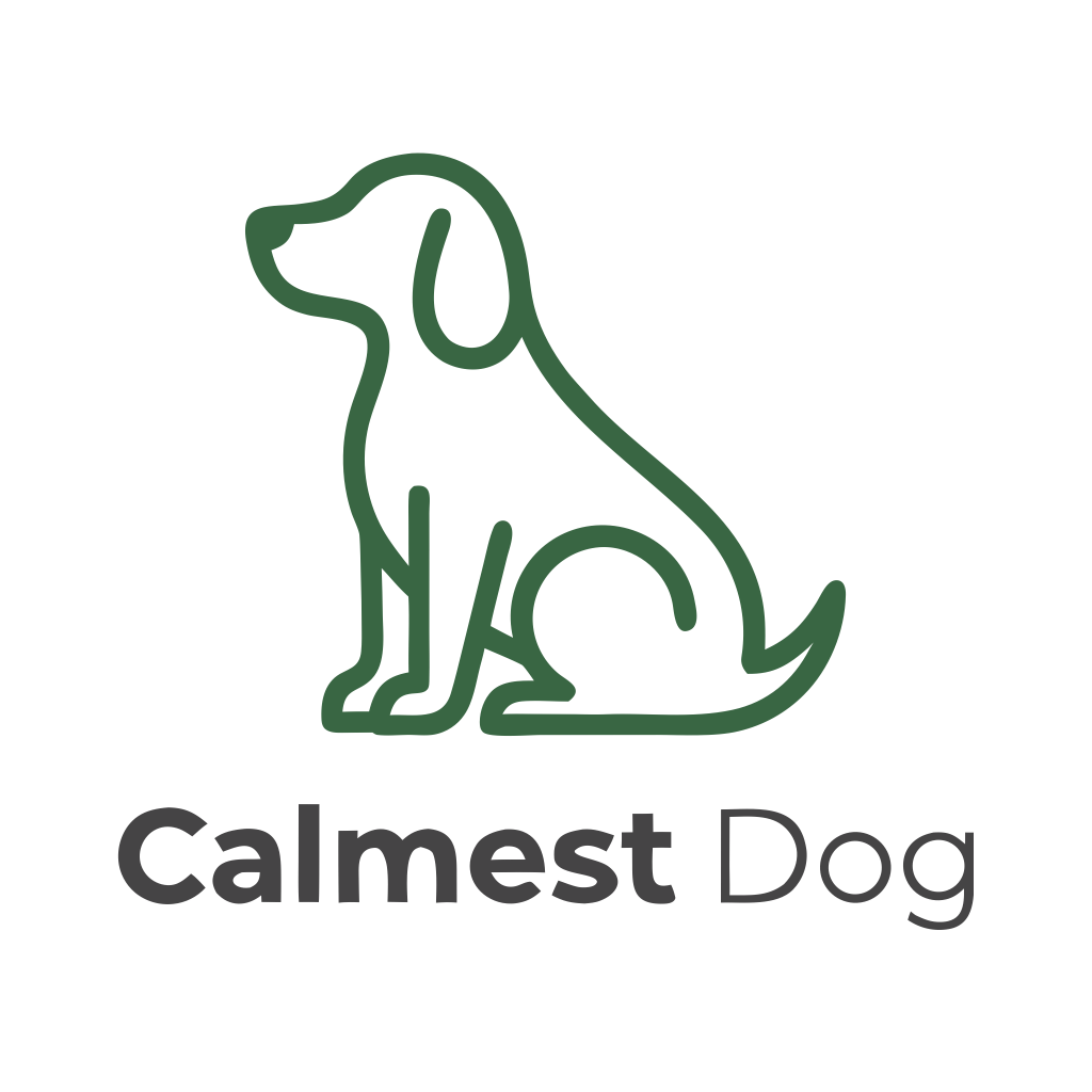 Calmest Dog